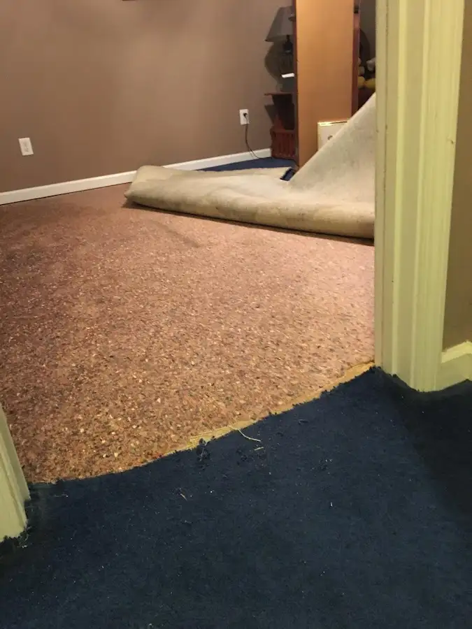 Carpet pad removal revealing water damage during Water Mitigation Services in Nolanville