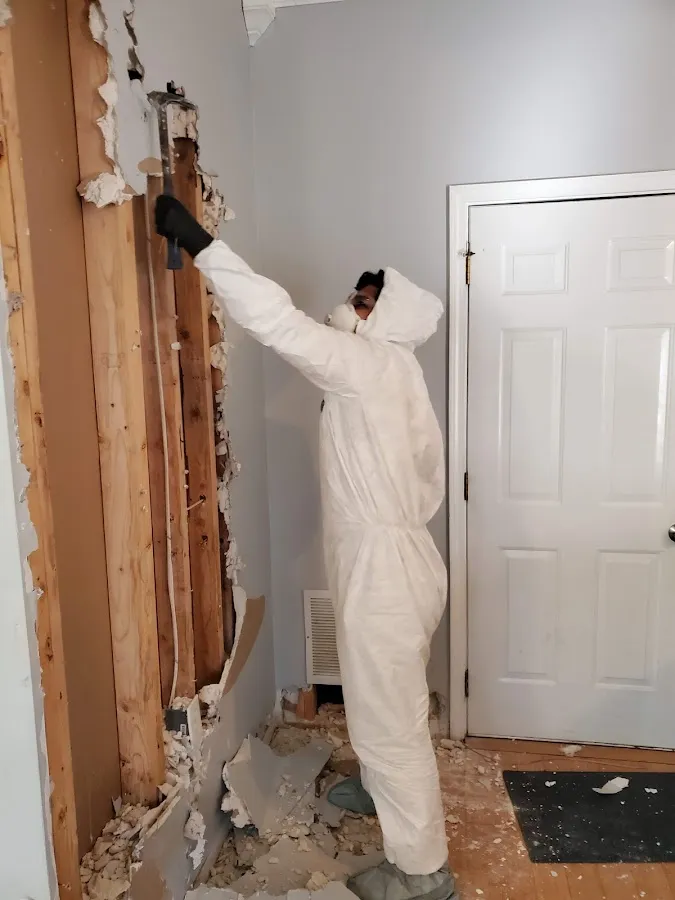 Water Damage Restoration services in Nolanville, TX